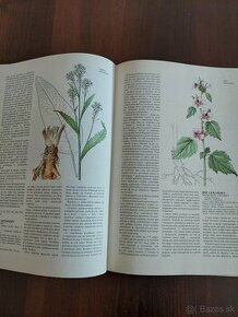Atlas liečivých rastlín a plodov
