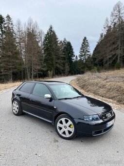 Audi s3 8l