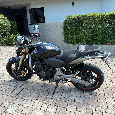 Honda Hornet