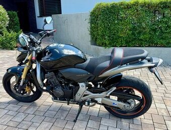 Honda Hornet