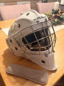 Brankarske hokejove rukavice,kolenacky,suspenzor,prilba