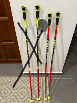 Leki detské lyžiarske palice GS