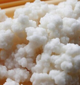 Kefírové zrná -Tibetská huba