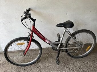 Bicykel NEUZER