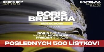 Boris Brejcha v BA