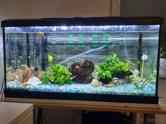 Komplet zabehnuté akvárium