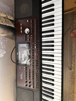 Predam korg pa700