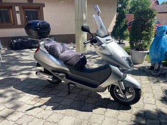 Honda Foresight 250 - 1