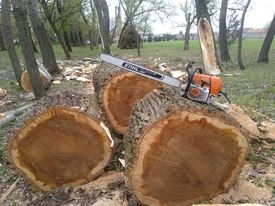 Výrub a orezávanie stromov
