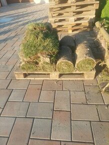 Predám trávny koberec - zostatok z projektu