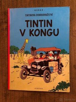 Tintin, Táborenie a iné