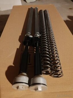 Cartrige + pružiny BMW F 800 GS