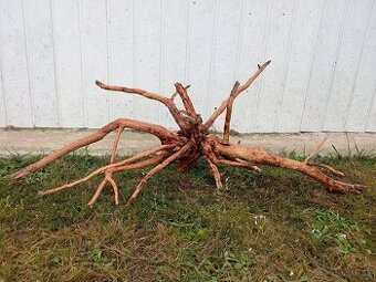 predam mohutny koren / samorast do akvaria