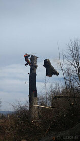 Rizikový výrub / rizikové pílenie stromov