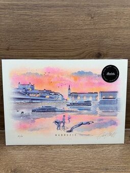 Predam Bratisla print/grafika