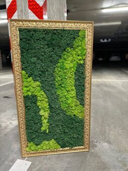 Machovy obraz zlaty ram