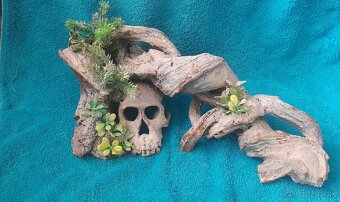 Akvárium - dekorácie