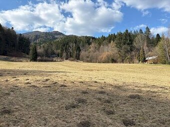 Pozemok nad Lazkami 7767 m2 - obec Bystrička