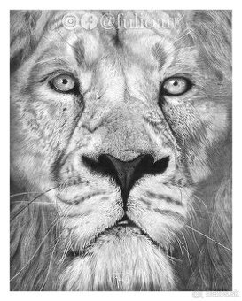 ''EYES OF THE KING'' - Hyperrealistická kresba
