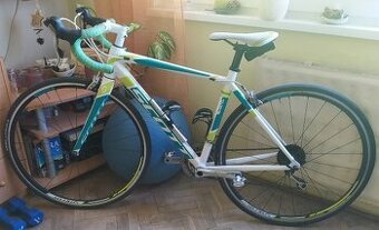 Predam vyhodne kvalirny cestny zavodny bicykel Scott