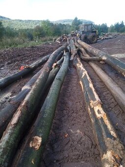 Predám lkt 81 štandard