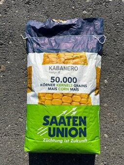 Osivo kukurica Kabanero