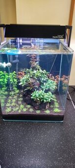 Predam nano 60l akvarium - 1