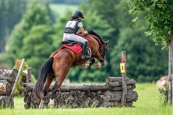 Náš Princ hledá svoji princeznu