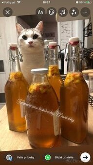 Kombucha