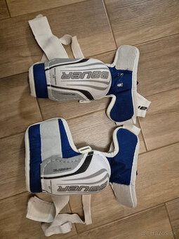 Chranice laktov Bauer