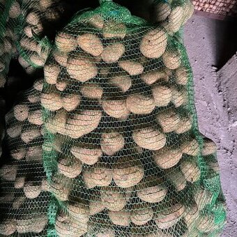 Predám Zemiaky na  zimné uskladnenie