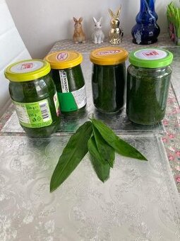 Pesto z medvedieho cesnaku