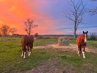 Ponúkame ustajnenie