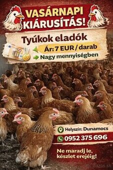 Tyúk