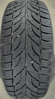 Zimná pneumatika 2ks 205/55 R16 91T Paxaro Winter