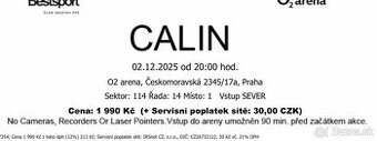 Calin 02 arena