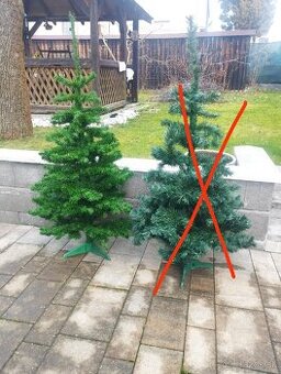 Vianočný stromćek 25€ vyška 165cm