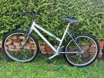 Bicykel