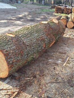 Dubová rustikálna guľatina