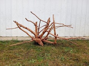 predam mohutny koren / samorast do akvaria