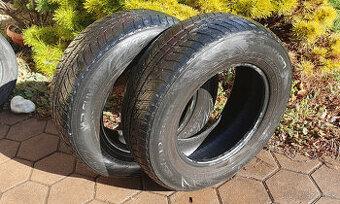 NOKIAN WR SUV 3 XL, ZIMNA, CELOROCNA, 215/70 R16