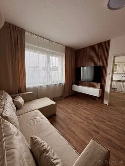 Veľký 1 izbový byt Podbreziny - 1