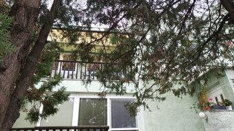 Prenajmem veľký 2-izb. byt na začiatku Karlovky v dome