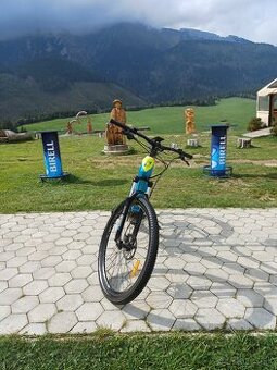 ebike