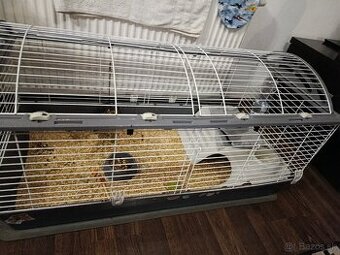 Morské prasa aj s klietkou