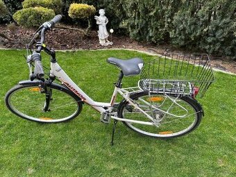 Damsky bicykel Author