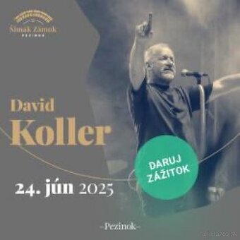 Lístky DAVID KOLLER