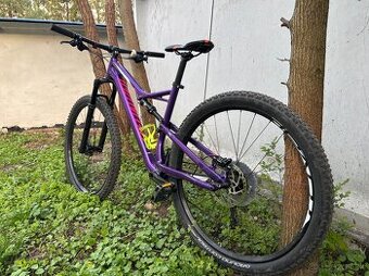 Specialized Stumpjumper