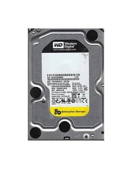 1TB Wester Digital RE4 7200rpm SATA 3,5"