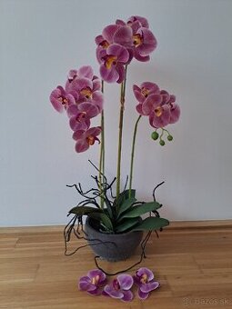 umelá orchidea v kvetináči, výška 75cm